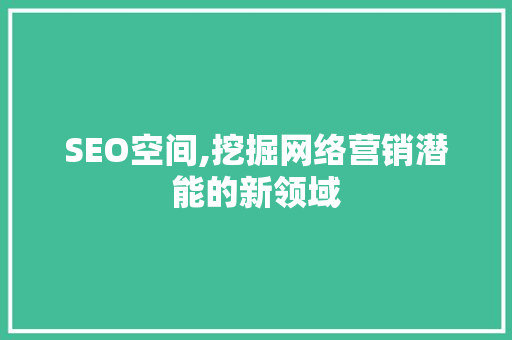 SEO空间,挖掘网络营销潜能的新领域