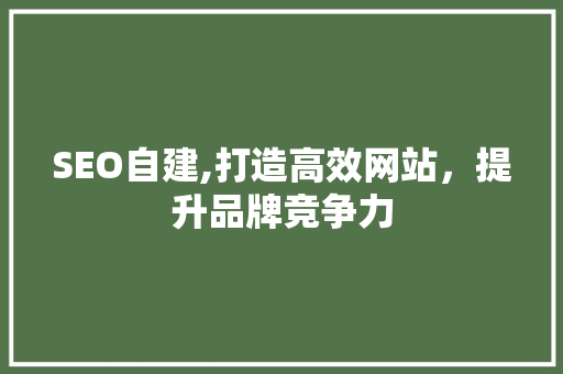 SEO自建,打造高效网站，提升品牌竞争力