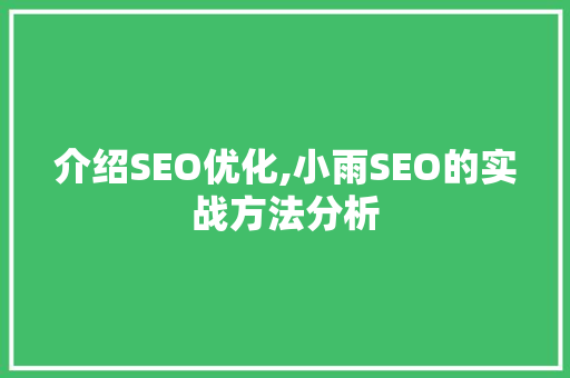 介绍SEO优化,小雨SEO的实战方法分析