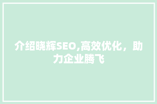 介绍晓辉SEO,高效优化，助力企业腾飞