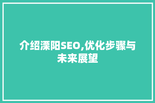 介绍溧阳SEO,优化步骤与未来展望