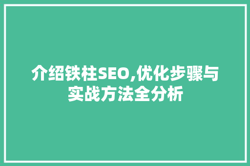 介绍铁柱SEO,优化步骤与实战方法全分析
