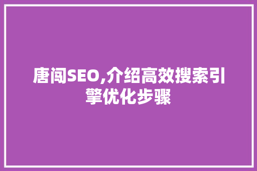 唐闯SEO,介绍高效搜索引擎优化步骤