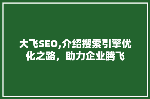 大飞SEO,介绍搜索引擎优化之路，助力企业腾飞
