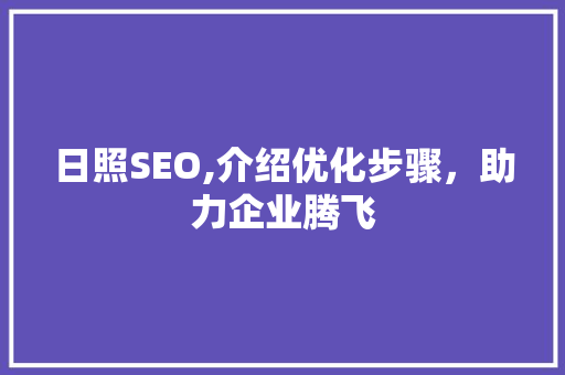 日照SEO,介绍优化步骤，助力企业腾飞