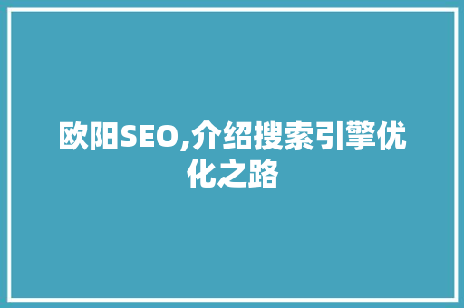 欧阳SEO,介绍搜索引擎优化之路