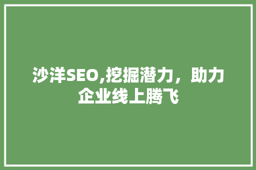 沙洋SEO,挖掘潜力，助力企业线上腾飞