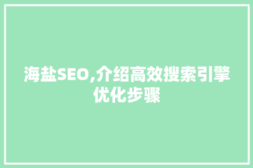 海盐SEO,介绍高效搜索引擎优化步骤