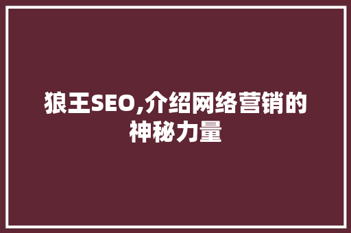 狼王SEO,介绍网络营销的神秘力量