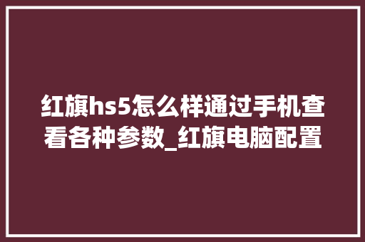 红旗hs5怎么样通过手机查看各种参数_红旗电脑配置怎么看型号