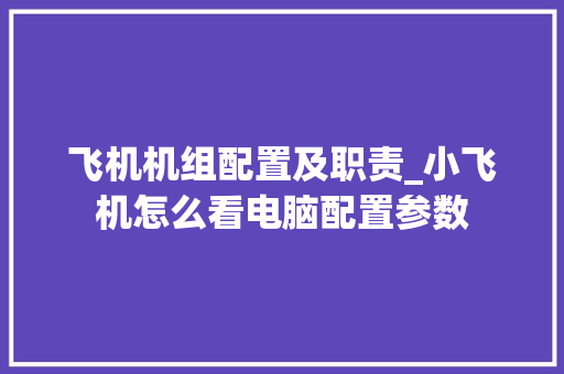 飞机机组配置及职责_小飞机怎么看电脑配置参数