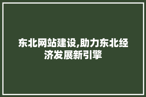 东北网站建设,助力东北经济发展新引擎