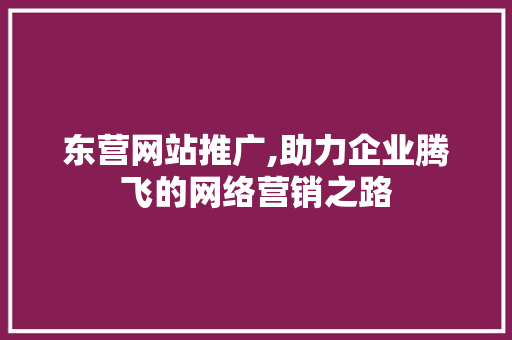 东营网站推广,助力企业腾飞的网络营销之路