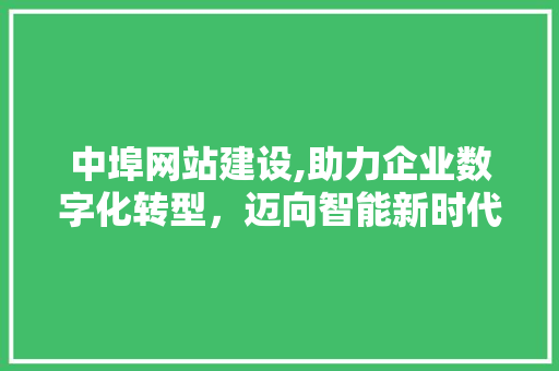 中埠网站建设,助力企业数字化转型，迈向智能新时代