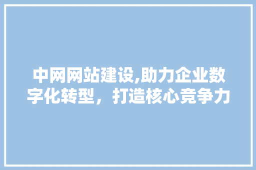 中网网站建设,助力企业数字化转型，打造核心竞争力