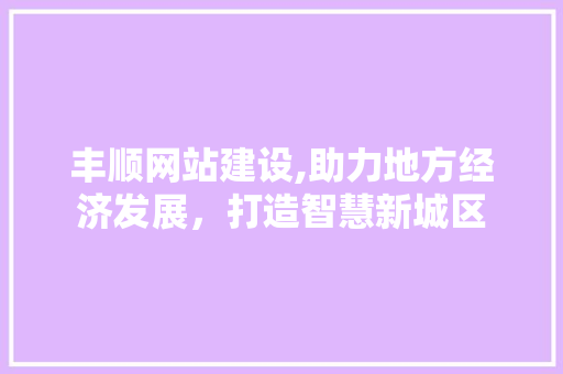 丰顺网站建设,助力地方经济发展，打造智慧新城区
