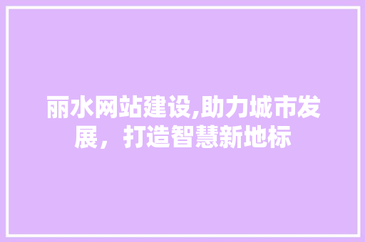 丽水网站建设,助力城市发展，打造智慧新地标