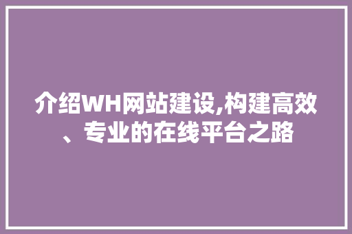 介绍WH网站建设,构建高效、专业的在线平台之路