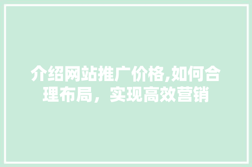 介绍网站推广价格,如何合理布局，实现高效营销