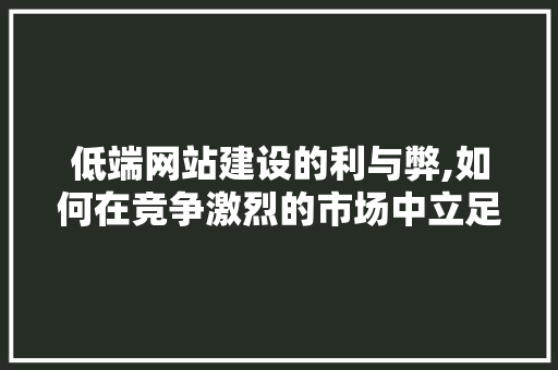 低端网站建设的利与弊,如何在竞争激烈的市场中立足