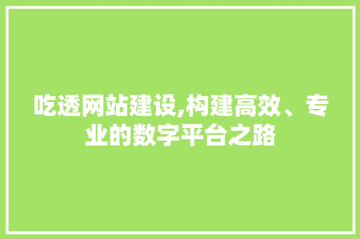 吃透网站建设,构建高效、专业的数字平台之路