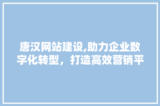 唐汉网站建设,助力企业数字化转型，打造高效营销平台