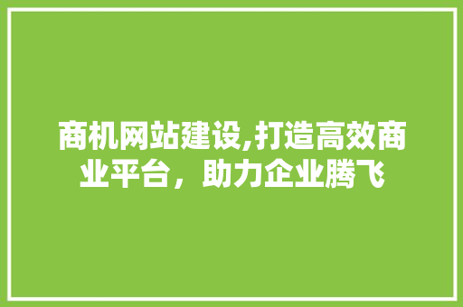 商机网站建设,打造高效商业平台，助力企业腾飞