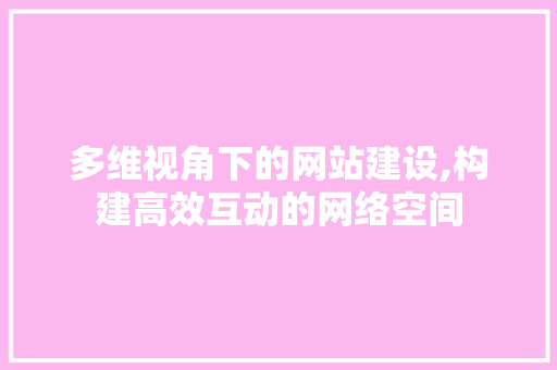 多维视角下的网站建设,构建高效互动的网络空间