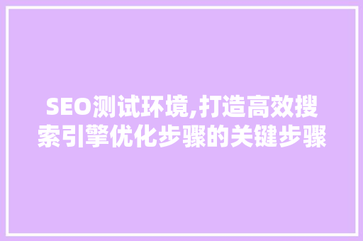 SEO测试环境,打造高效搜索引擎优化步骤的关键步骤 SEO测试环境,打造高效搜索引擎优化步骤的关键步骤 电脑配置