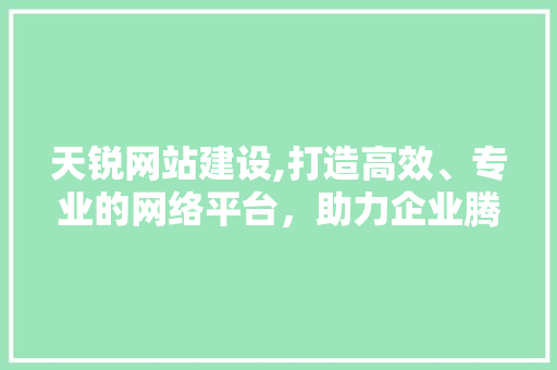 天锐网站建设,打造高效、专业的网络平台,助力企业腾飞 天锐网站建设,打造高效、专业的网络平台,助力企业腾飞