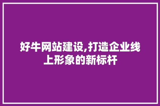 好牛网站建设,打造企业线上形象的新标杆