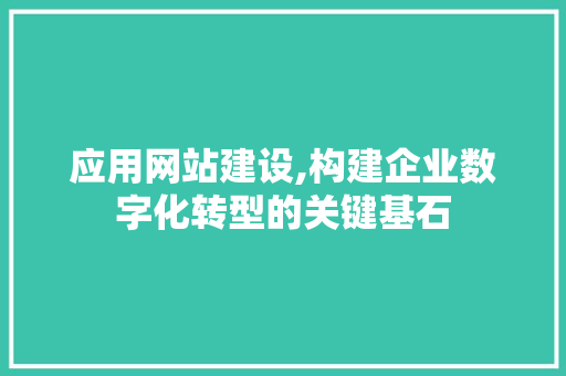 应用网站建设,构建企业数字化转型的关键基石