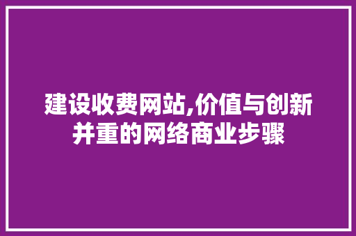 建设收费网站,价值与创新并重的网络商业步骤