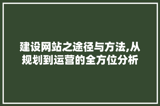 建设网站之途径与方法,从规划到运营的全方位分析