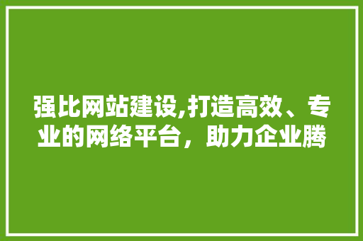 强比网站建设,打造高效、专业的网络平台，助力企业腾飞