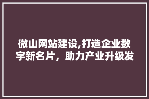 微山网站建设,打造企业数字新名片，助力产业升级发展