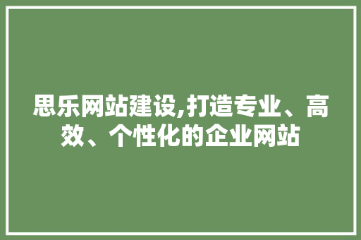 思乐网站建设,打造专业、高效、个性化的企业网站