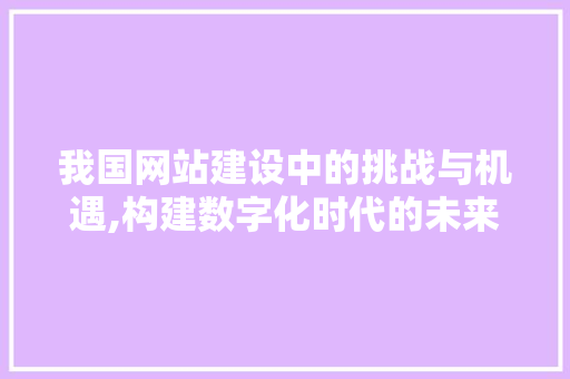 我国网站建设中的挑战与机遇,构建数字化时代的未来