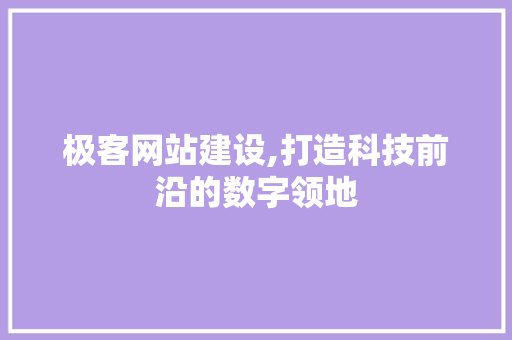 极客网站建设,打造科技前沿的数字领地