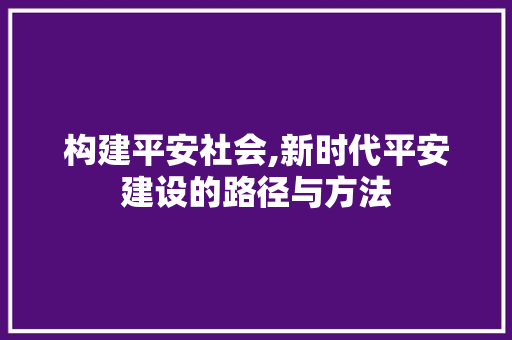 构建平安社会,新时代平安建设的路径与方法