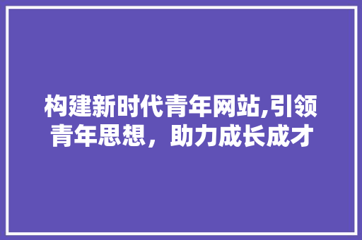 构建新时代青年网站,引领青年思想，助力成长成才