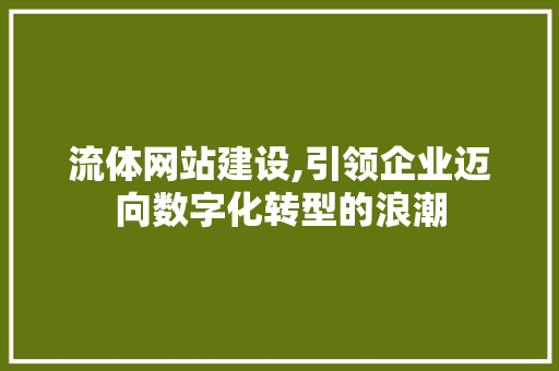 流体网站建设,引领企业迈向数字化转型的浪潮