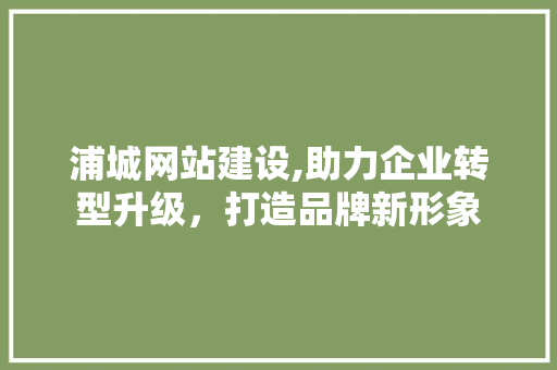 浦城网站建设,助力企业转型升级，打造品牌新形象