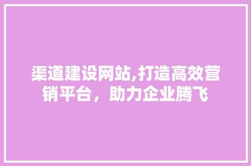 渠道建设网站,打造高效营销平台，助力企业腾飞