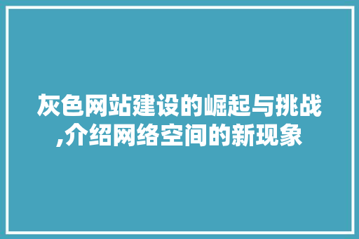 灰色网站建设的崛起与挑战,介绍网络空间的新现象