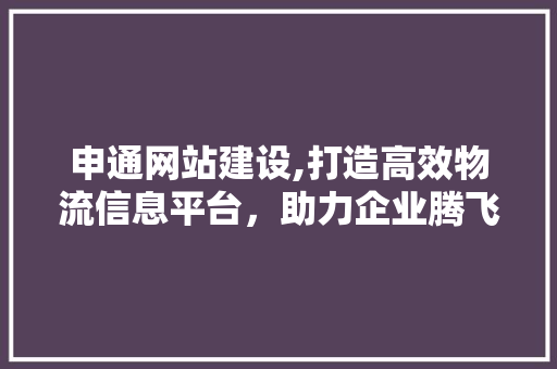 申通网站建设,打造高效物流信息平台，助力企业腾飞