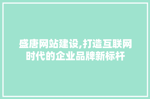 盛唐网站建设,打造互联网时代的企业品牌新标杆