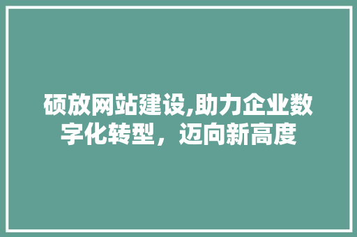 硕放网站建设,助力企业数字化转型，迈向新高度