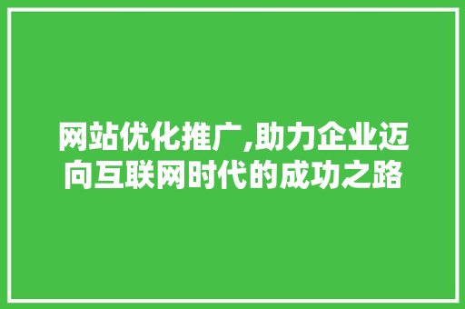 网站优化推广,助力企业迈向互联网时代的成功之路
