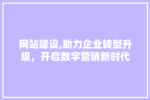 网站建设,助力企业转型升级，开启数字营销新时代